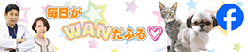 毎日がWANだふる Facebookページ